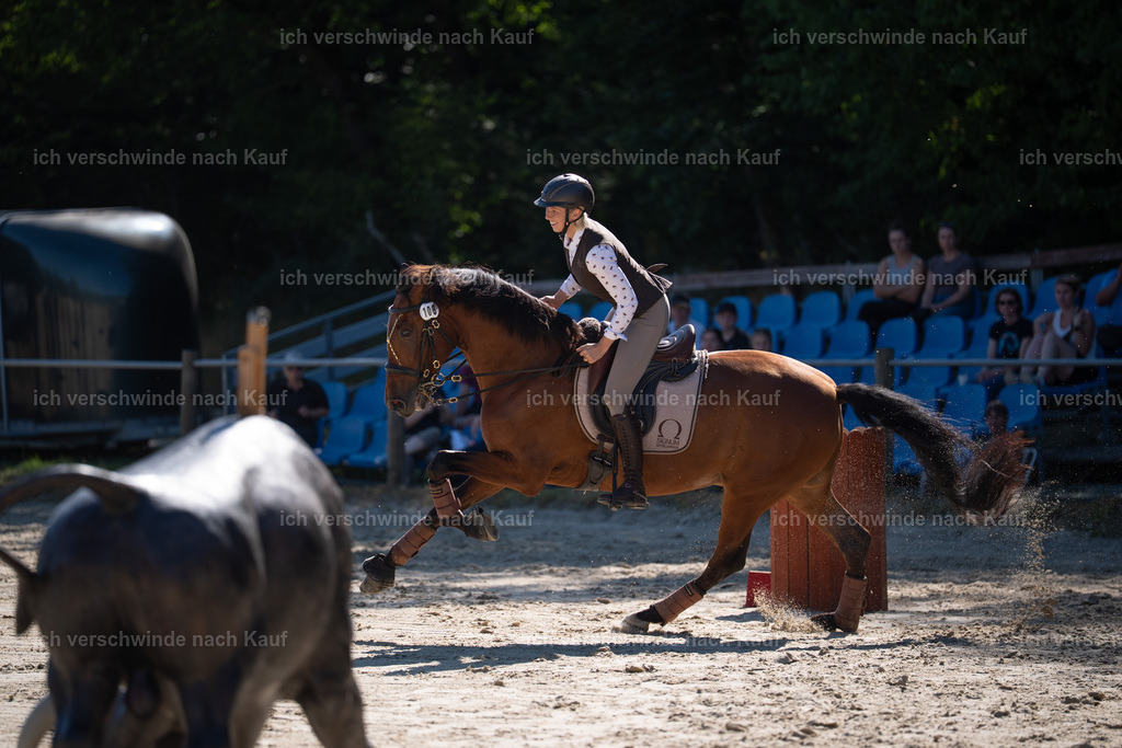 WL_SP_106_Stoibphotography_SO15970 | working equitationturnier fotograf videograf stoibphotography marixx film working equitation deutschland reitsport turnierfotografie eventfotografie equestrian events