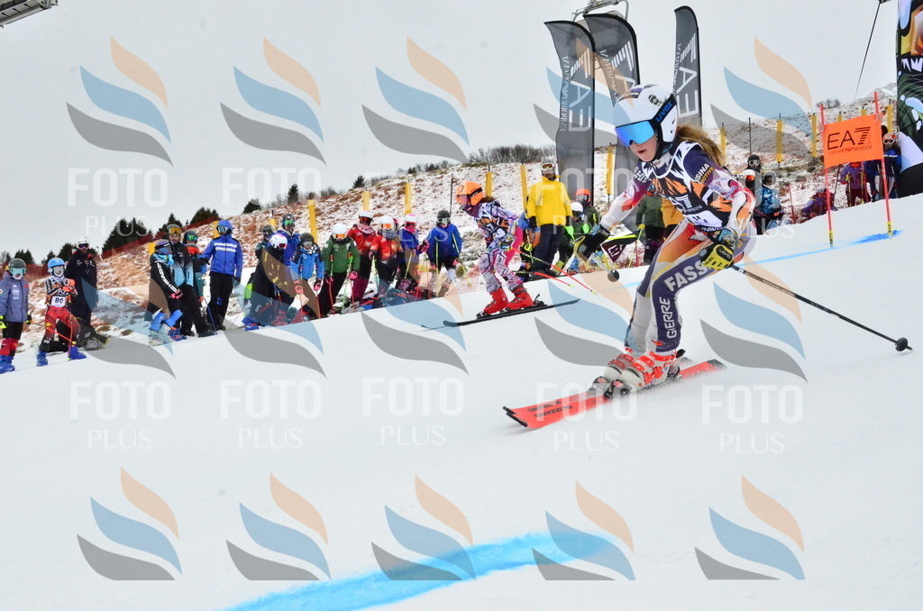 _ELE3348 | holidayphoto