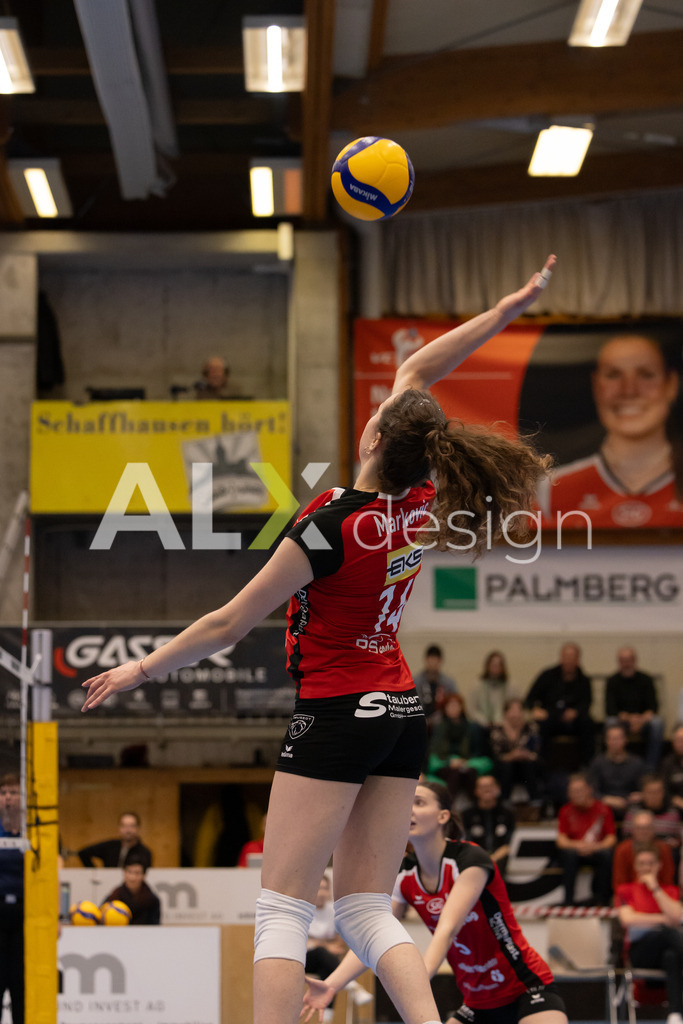 Volleyball I Frauen I Saison 2025-2026 I Volleyball NLA | Women I 1/4 Finals I VC Kanti Schaffhausen - BIWI Volleyball Franches-Montagnes I 21.02.2026 | 14 Josipa Marković (HR) (VC Kanti Schaffhausen) – Aussen - Realisiert mit Pictrs.com