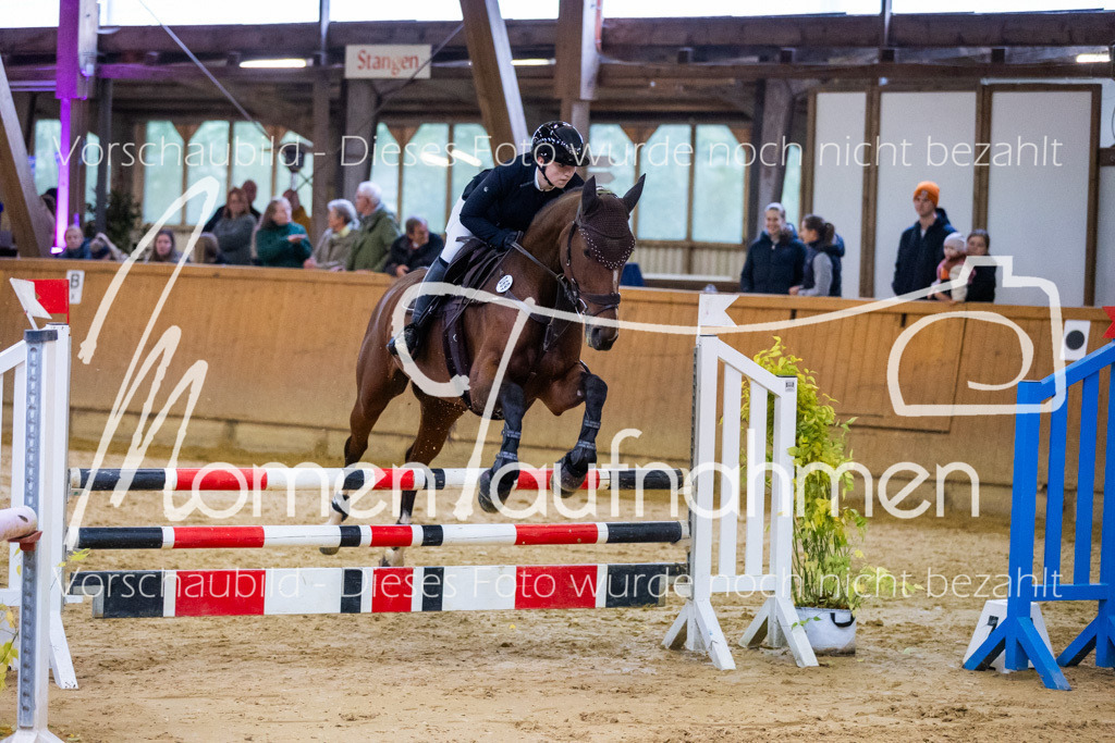 Sth-A-Spr.m.st.A.-031 | MomenTaufnahmen Pferdesportfotos