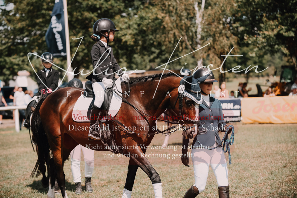 DSC_5978 | Pferde- und Turnierfotografie in Westsachsen. Pferdeportraits, Auftragszeichnungen und intuitive Kunst.