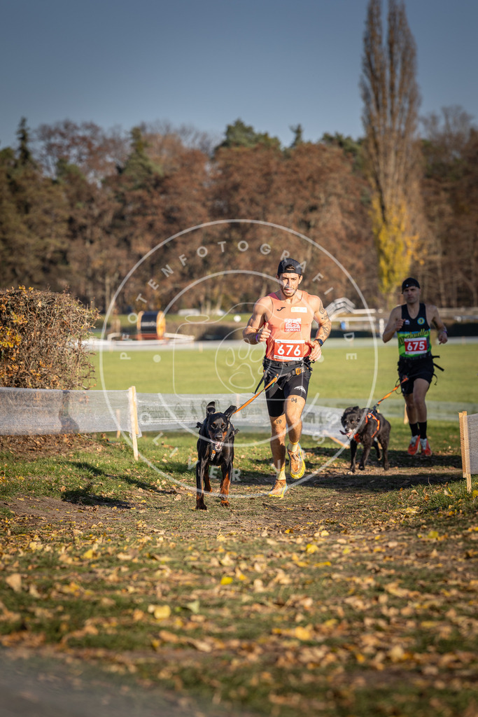 CaniXpix_DV3A0938 | Hundefotografie, Tierfotograf, Pfotenfotografie, Fotoshooting Hund, Hunde Portrait, Hundesport, Hundeportraits, Heideshooting, Hunde, Sportfotograf, Hundefotograf, Turnierhundsport, THS,  - Realisiert mit Pictrs.com