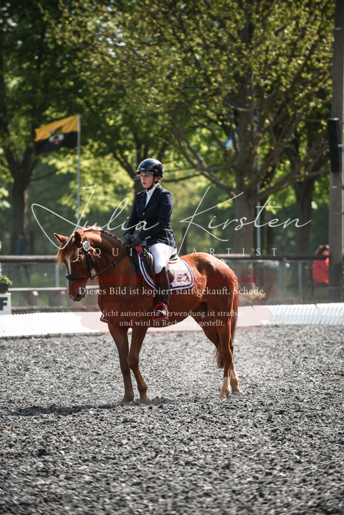 DSC_9020 | Pferde- und Turnierfotografie in Westsachsen. Pferdeportraits, Auftragszeichnungen und intuitive Kunst.