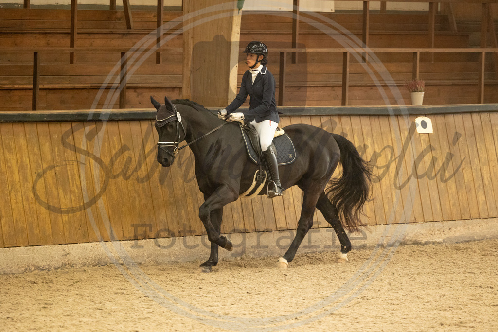 994A4230 | sabrinanicolaifotografie - Realisiert mit Pictrs.com