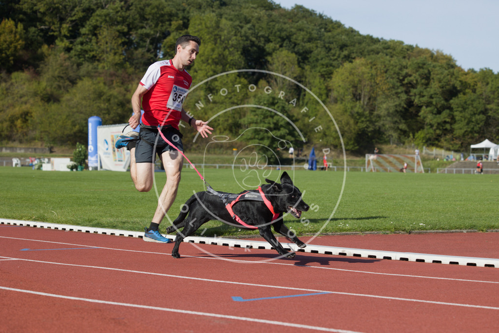 0L8A9616 | Hundefotografie, Tierfotograf, Pfotenfotografie, Fotoshooting Hund, Hunde Portrait, Hundesport, Hundeportraits, Heideshooting, Hunde, Sportfotograf, Hundefotograf, Turnierhundsport, THS,  - Realisiert mit Pictrs.com