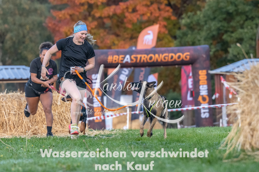 0817_ZZ90164-Bearbeitet | kk-dogfotos