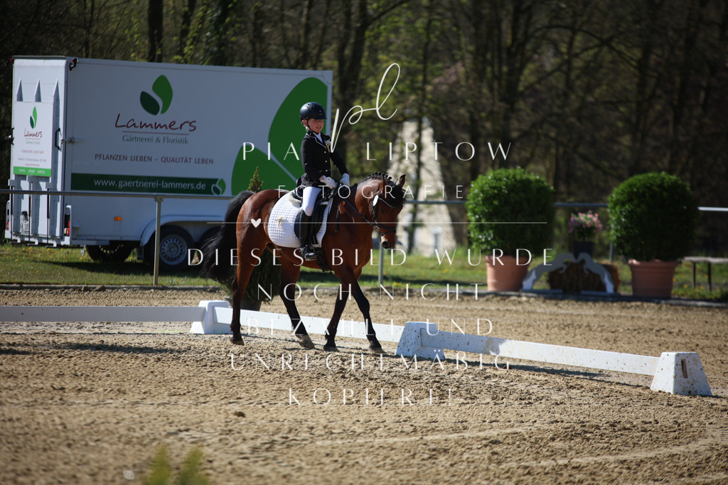 IMGT9589 | pl-fotografie