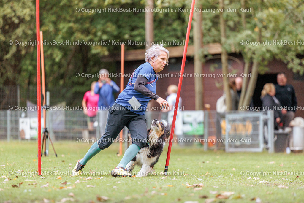 THS-HSV-Blumenthal-2026-Nickbest-Hundefotografie-4667 | Dein Hund! Dein Moment! Deine Erinnerungen! Hundefotografie in Bremen Blumenthal. Ich fange die besonderen Momente deines Vierbeiners ein – ob Indoor mit Blitzanlage oder in der freien Natur. Sicher dir dein Moment und dein Termin für eure Erinnerungen.