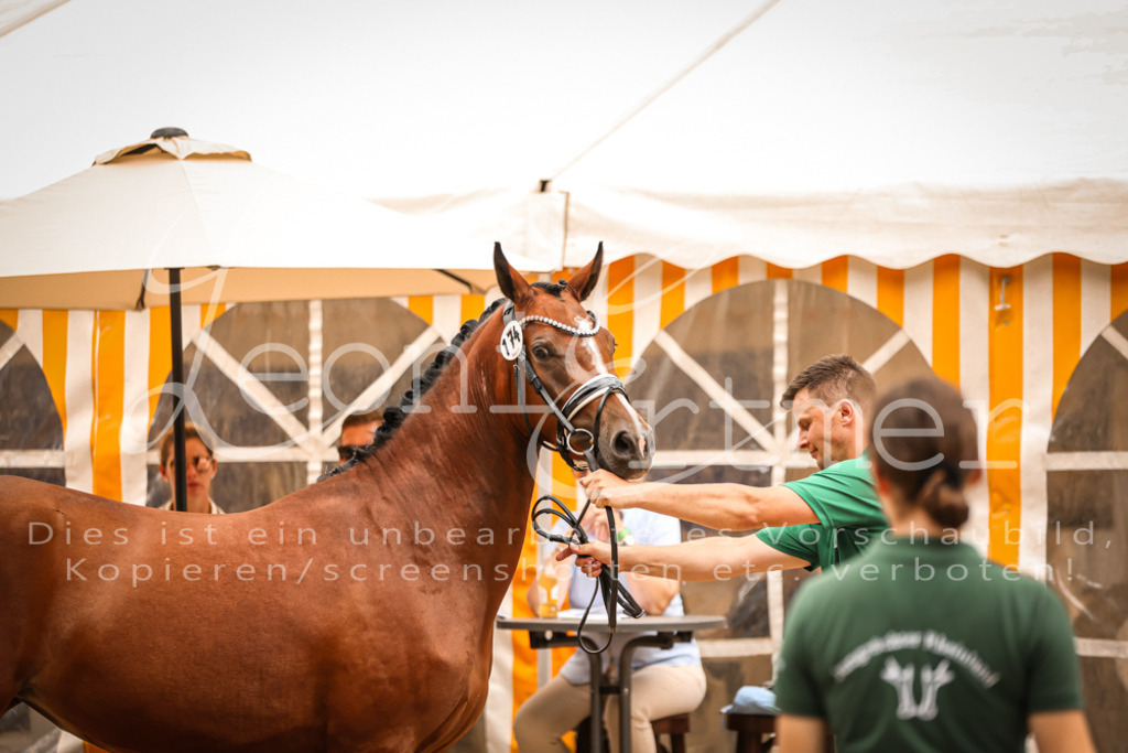 12.So00047 | Leoni Ertmer Photography - Realisiert mit Pictrs.com