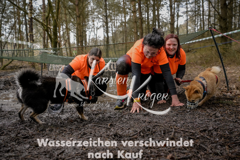 0951_ZZ98422 | kk-dogfotos