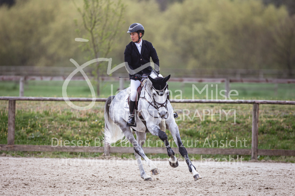 250417_Springpferde-A1-159 | Deine schönsten Turniermomente als professionelle Fotos! Entdecke hochwertige Pferdesport-Fotografie im Online-Shop. Jetzt Fotos finden & bestellen!