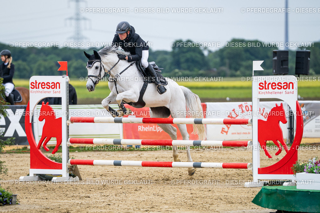 DSC05296 | Pferdegrafie