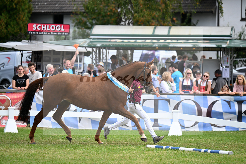 Kat-Nr. 53 Foggy Bay DSP v. Stolzenberg_Deeg_30251251 | hf-fotografie - Realisiert mit Pictrs.com