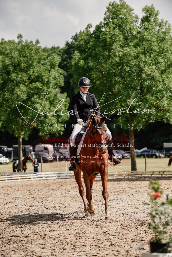 DSC_0307 | Pferde- und Turnierfotografie in Westsachsen. Pferdeportraits, Auftragszeichnungen und intuitive Kunst.