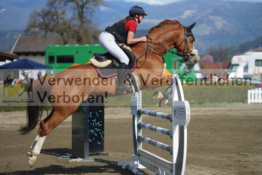 DSC03256 | equestrian-live-com