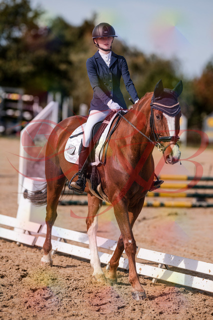 2026_10_03_Siefer-Hof_132739_Z81_82590400 | Professionelle Reitsport-, Turnier- und Eventfotografie von Robert Broda. Galerien mit ausgewählten und bearbeiteten Bildern direkt online ansehen und bestellen.