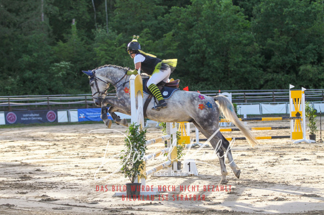 DKP45181 | Turnierfotos kaufen im Webshop von Daniel Kuhl Photography – entdecke professionelle Reitsportfotos aus Turnieren & Events. Hochwertige Turnierbilder online bestellen & sichern. Jetzt Fotos von Reitsportturnieren kaufen!