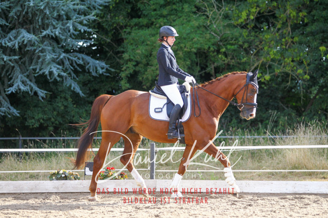 DKP45548 | Turniersportfotografie; Pferdefotografie; Dressurfotografie