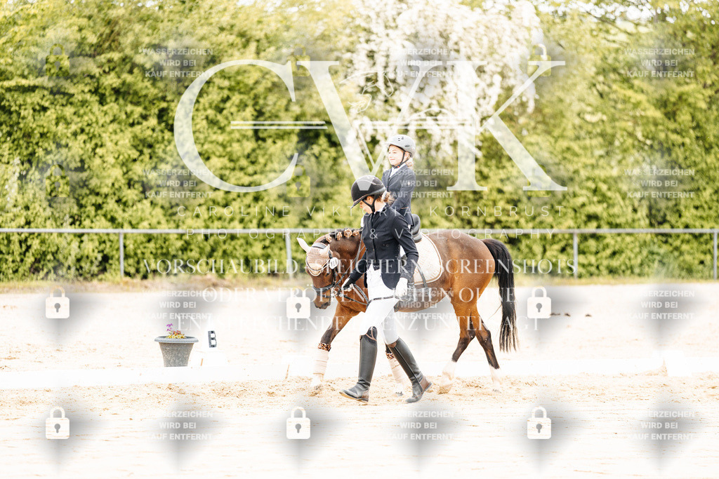 CK903714 | Turnierfotografie Pferdefotografie Trier Rheinland-Pfalz Pferdesport Reitsport Tierfotografie Sportfotografie Pferdevideo Pferdevideografie Equestrianvideography equestrianphotography  - Realisiert mit Pictrs.com