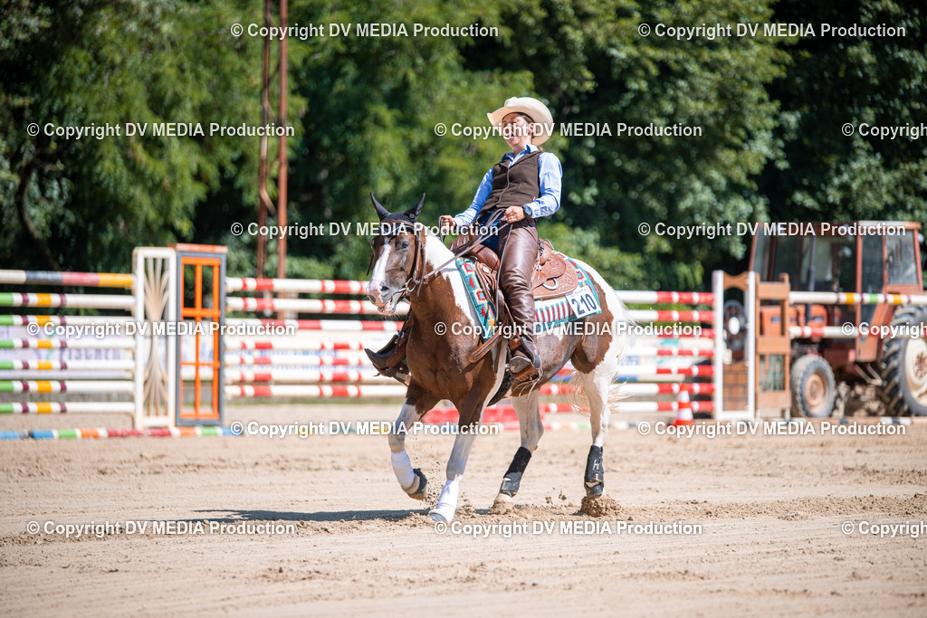 ZS1_1023 | dv-media-shop - Realisiert mit Pictrs.com