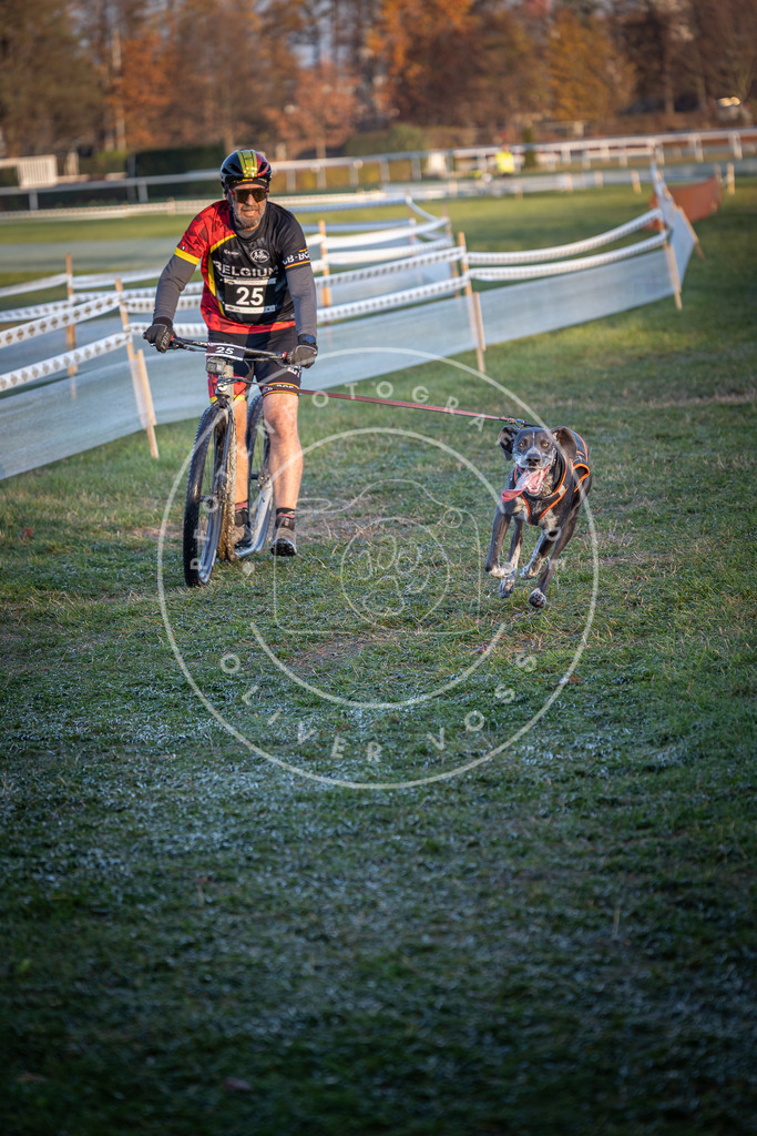 CaniXpix_0L8A1733 | Hundefotografie, Tierfotograf, Pfotenfotografie, Fotoshooting Hund, Hunde Portrait, Hundesport, Hundeportraits, Heideshooting, Hunde, Sportfotograf, Hundefotograf, Turnierhundsport, THS,  - Realisiert mit Pictrs.com