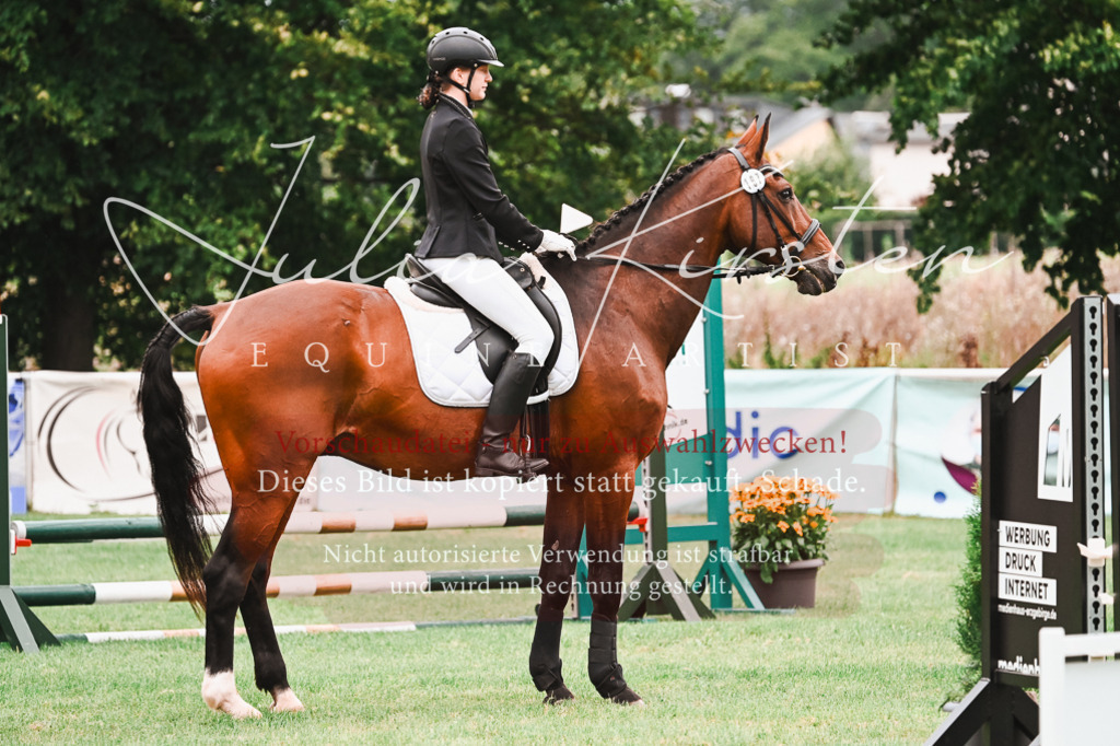 DSC_5959 | Pferde- und Turnierfotografie in Westsachsen. Pferdeportraits, Auftragszeichnungen und intuitive Kunst.