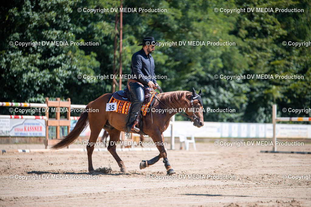 ZS1_0972 | dv-media-shop - Realisiert mit Pictrs.com