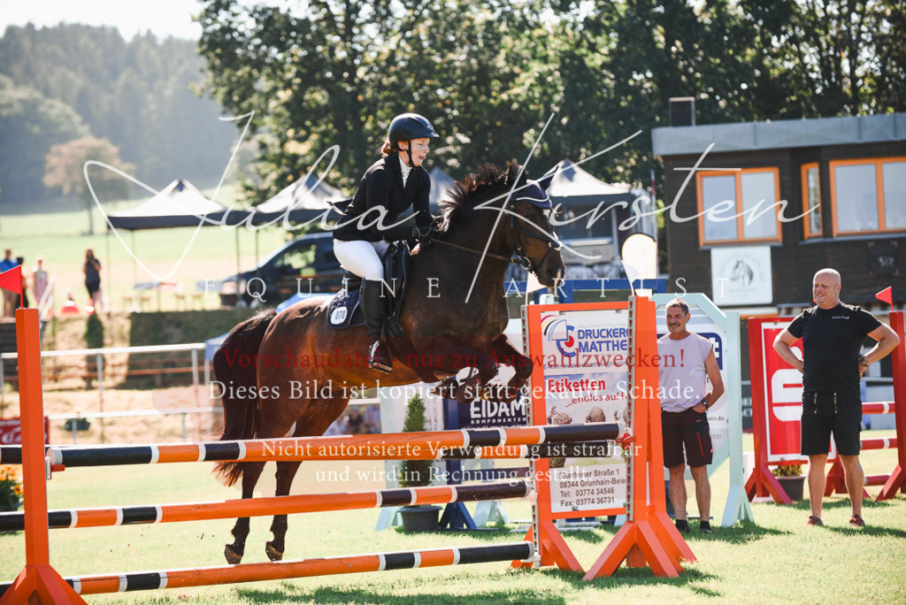 DSC_2573 | Pferde- und Turnierfotografie in Westsachsen. Pferdeportraits, Auftragszeichnungen und intuitive Kunst.