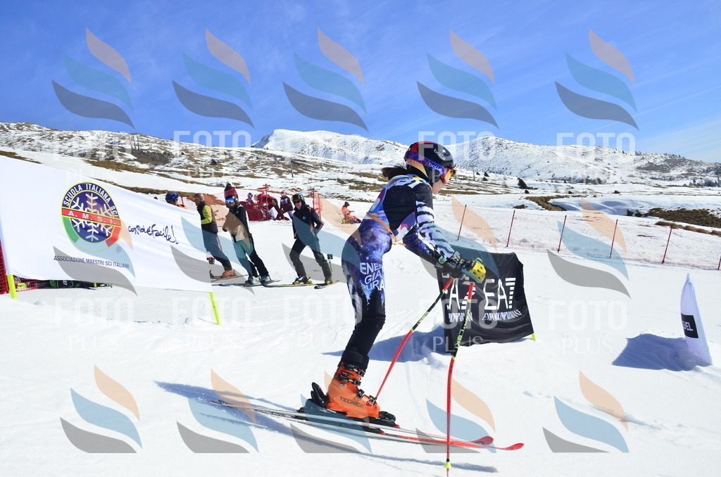 _ELE9831 | holidayphoto