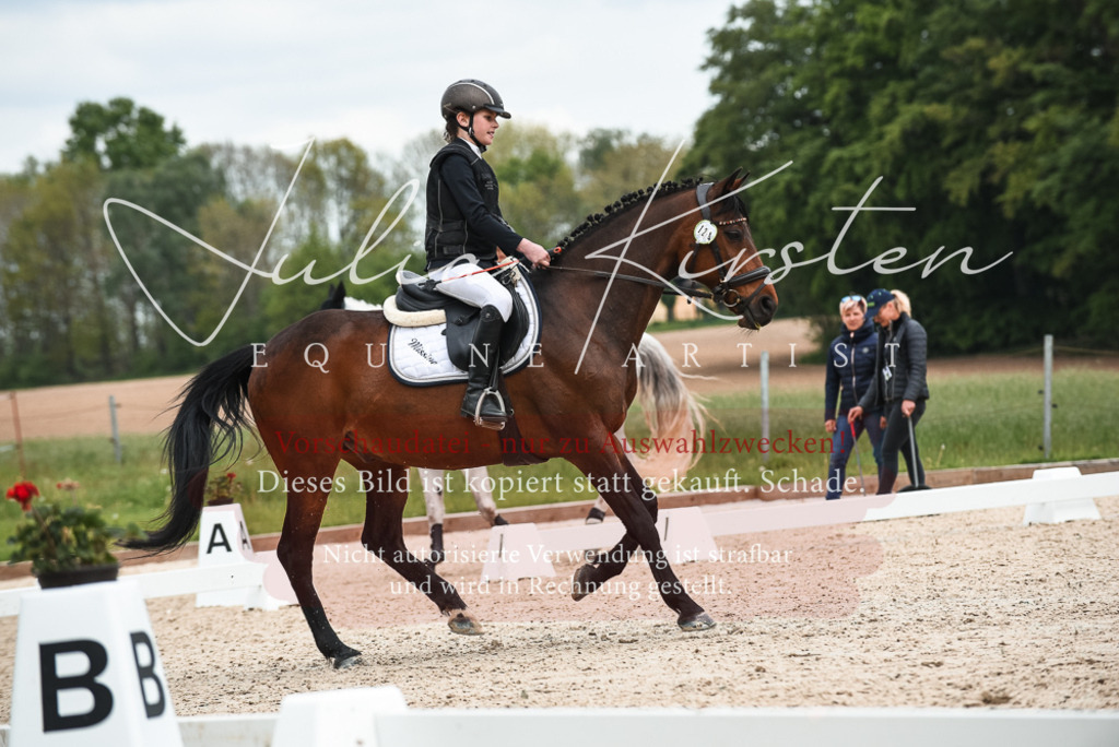 20230518_JK-Röhrsdorf-10-707 | Pferde- und Turnierfotografie in Westsachsen. Pferdeportraits, Auftragszeichnungen und intuitive Kunst.
