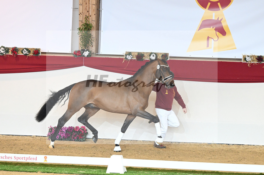 Kat-Nr. 77 Vitalis_Bock_1230538 | hf-fotografie - Realisiert mit Pictrs.com
