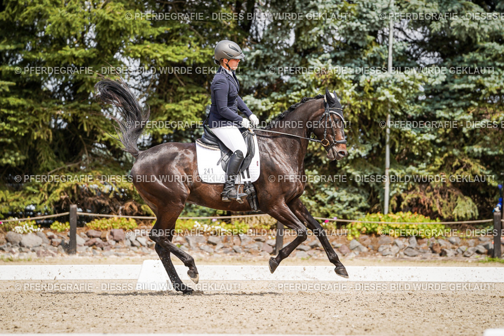 DSC03097 | Pferdegrafie