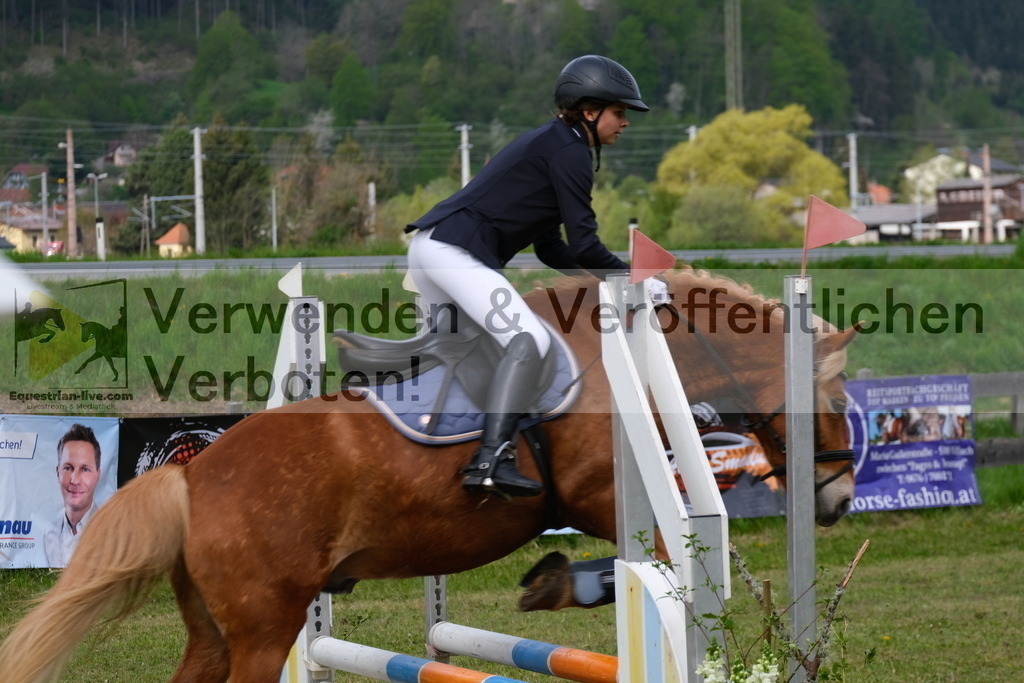 DSCF3937 | equestrian-live-com