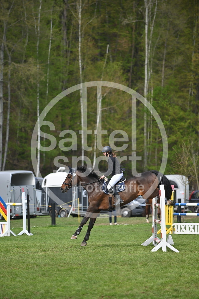 DSC_3860 | sattelsport - Realisiert mit Pictrs.com