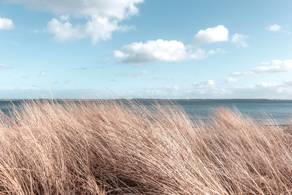 Wandbild: Strandhafer und Strandkorb am Meer | Dieses Wandbild im Querformat zeigt Strandhafer am Meer. Im Vordergrund steht Strandhafer, es hat einen hellen Beigeton. Das Meer sowie der Himmel sind pastellartig blau. Durch die dezenten Farben wirkt das Wandbild elegant und stilvoll. Holen Sie sich mit diesem dekorativen Wandbild den Strandurlaub für das ganze Jahr nach Hause oder an den Arbeitsplatz. Es ist auf Leinwand, auf Aluminium-Platte, Acrylglas oder als Holzdruck erhältlich. Dabei wird es individuell für Sie in vielen Abmessungen produziert. Auf diese Weise passen die Ostseekult Wandbilder immer perfekt an Ihre Wände. - Realisiert mit Pictrs.com