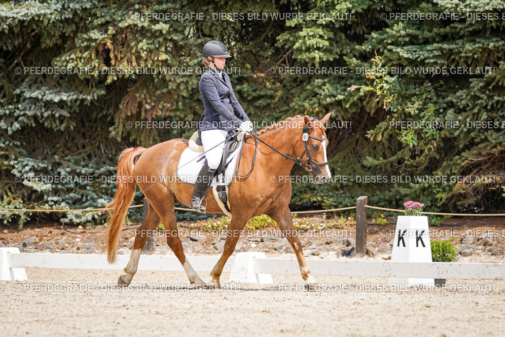 DSC03333 | Pferdegrafie