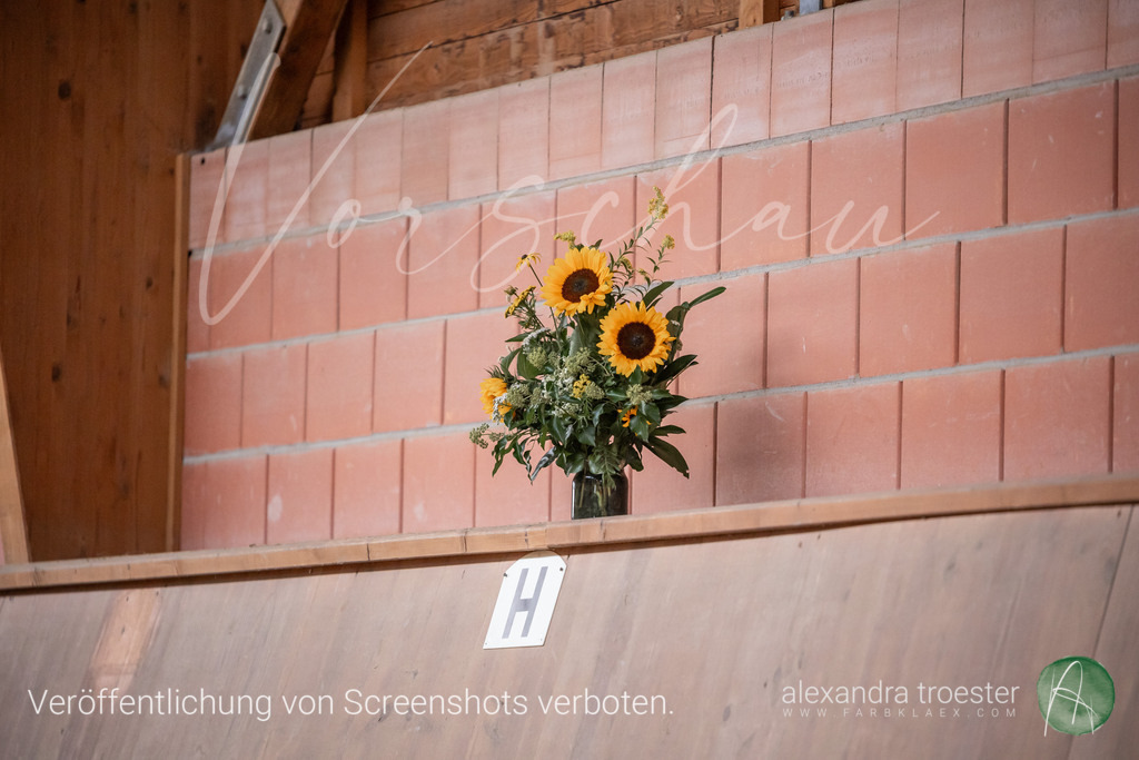 250913_Barop_28_186 | farbklaex.com