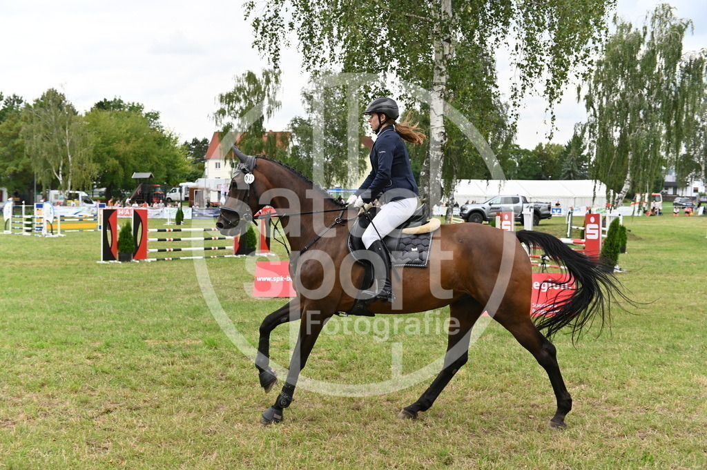 DSC_3420 | sattelsport - Realisiert mit Pictrs.com