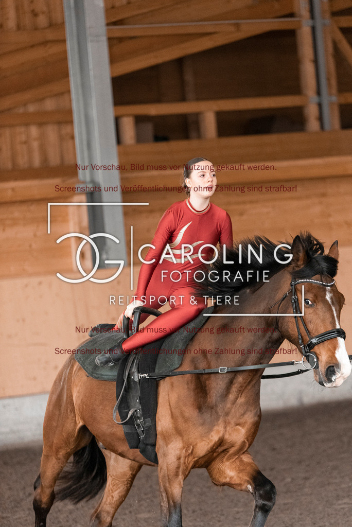 DSC_1994 | Turnierfotografin Carolin Gieschke,Reitsport Turnierfotografie Carolin G Fotografie | Turnierfotos aus Kirchheim/Teck, Esslingen, Stuttgart und dem Bodenseekreis