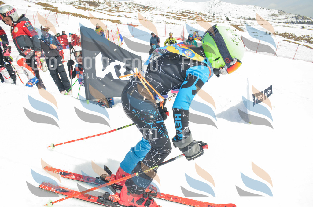 _ELE7320 | holidayphoto