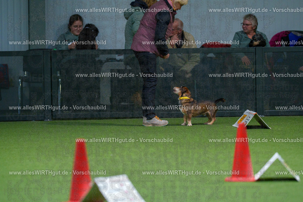 7R505851 | Professionelle Tierfotografie in Mönchengladbach von Daniel Wirth (allesWIRTHgut). Liebevolle & natürliche Bilder von Hunden & Katzen für unvergessliche Erinnerungen.