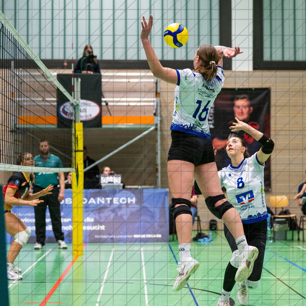 2. VBLF Nord 25/26 | Spiel 4154 | VC Osnabrück vs. VCO Münster | //  29.11.25: 2. VBLF Nord 25/26 | Spiel 4154 | VC Osnabrück vs. VCO Münster / Osnabrück / Deutschland  //   CREDIT:www.bullenfotos.de, Martin König, Hörner Weg 40, D-49078 Osnabrück, +4917663732967 // Nutzung und Weitergabe nur zu den vereinbarten Zwecken. Presseanfragen an Ersteller. Alle Rechte beim Ersteller. Honorierung nach MFM. - Realisiert mit Pictrs.com