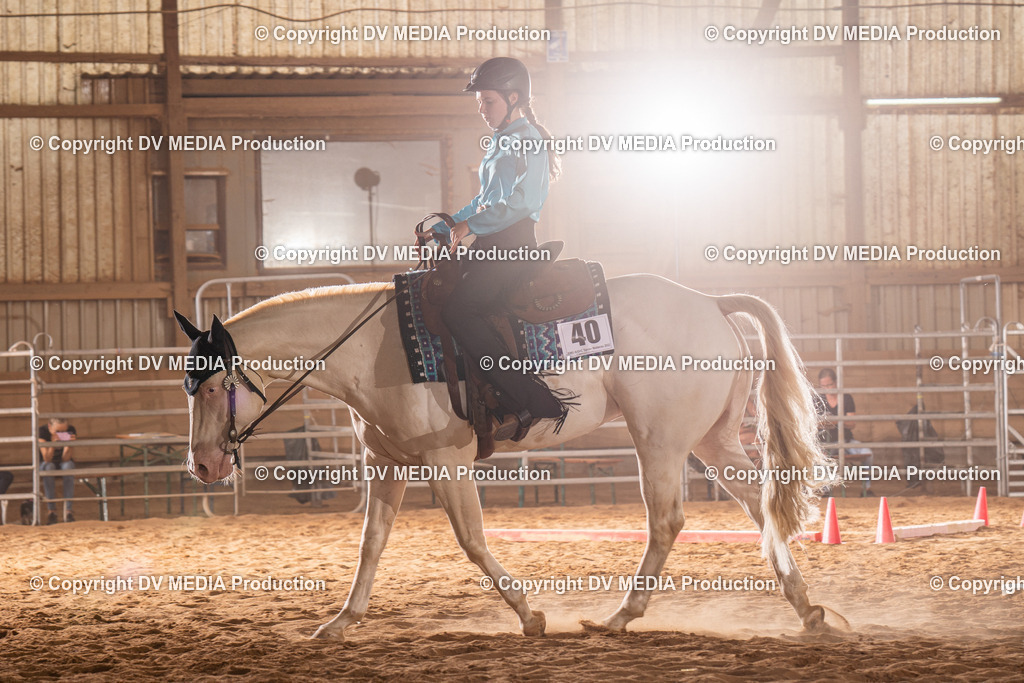 NID00837 | dv-media-shop - Realisiert mit Pictrs.com