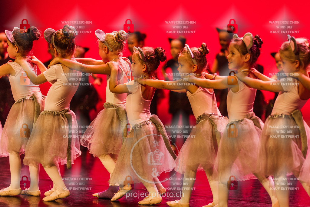 EXPORT_FULL-8582 | projectphoto - Realisiert mit Pictrs.com