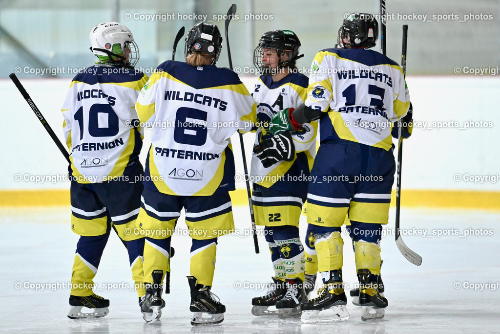 BST_6652 | hockey sports photos, Pressefotos, Sportfotos, hockey247, win 2day icehockeyleague, Handball Austria, Floorball Austria, ÖVV, Kärntner Eishockeyverband, KEHV, KFV, Kärntner Fussballverband, Österreichischer Volleyballverband, Alps Hockey League, ÖFB, 