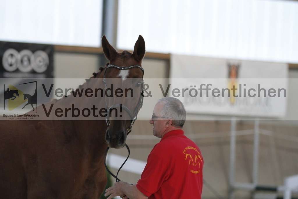 _MG_1029 | equestrian-live-com