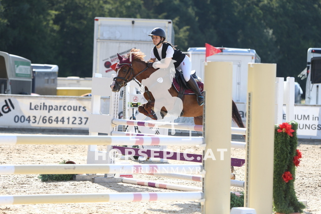 DL2Q1948 | Willkommen bei Brunnmayr - Design & Fotografie – Ihrem Spezialisten für Reitturniere und Pferdeveranstaltungen in Oberösterreich, Salzburg und Bayern! Seit über 17 Jahren sind wir leidenschaftlich dabei.