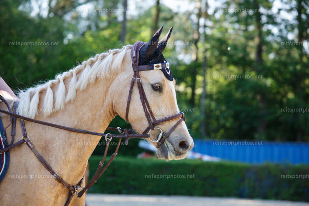 JHE_4569 | JoYa Fotografie - Realisiert mit Pictrs.com