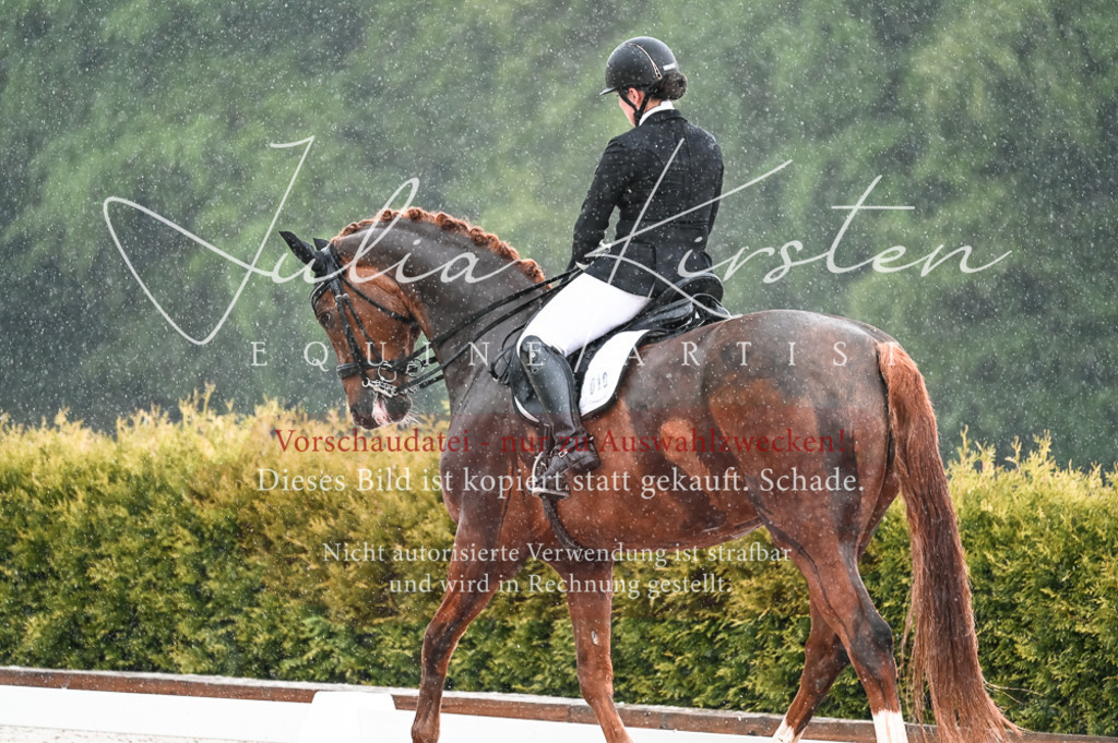 DSC_4088 | Pferde- und Turnierfotografie in Westsachsen. Pferdeportraits, Auftragszeichnungen und intuitive Kunst.