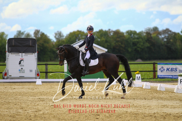 DKP44734 | Turniersportfotografie; Pferdefotografie; Dressurfotografie